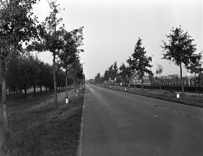 Groene Kruisweg/N492 bij Rhoon, 1948