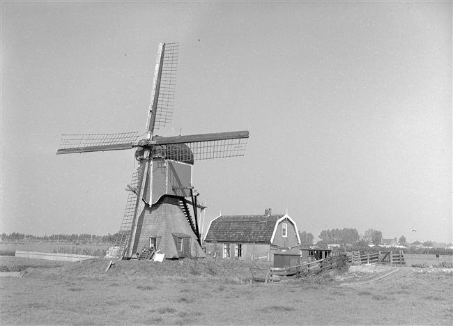 Bosmolen met molenaarswoning in Leiderdorp, 1963