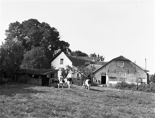 Boerderij Lusthof