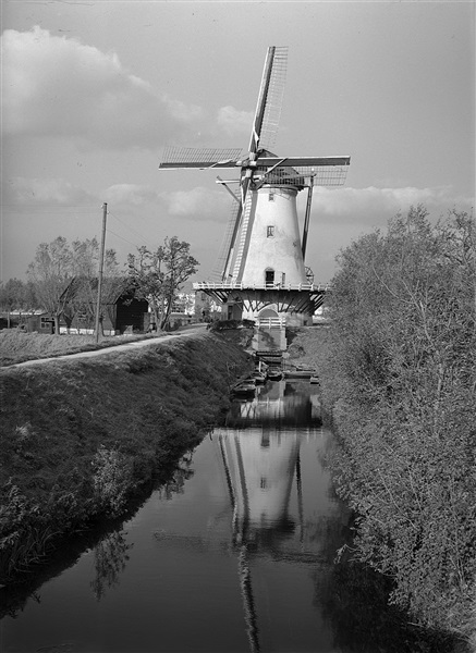 De Haastrechtse Molen in Gouda, 1954