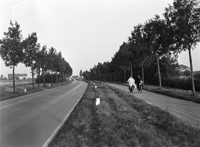 Groene Kruisweg/N492 bij Rhoon, 1948