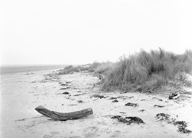 Duinlandschap. De provincie Zuid-Holland ontsluit duingebieden voor recreatie.