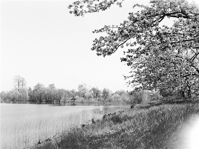 De plas Kruithof bij de Diefdijk