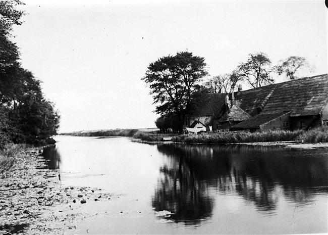 Boerderij aan de Boonervliet bij Maassluis, 1946