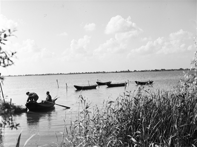 Roeiboten op de Noordeinderplas bij Nieuwkoop