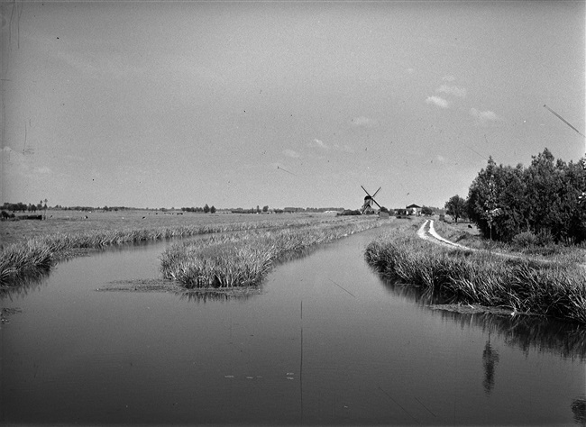 Polderlandschap met molen