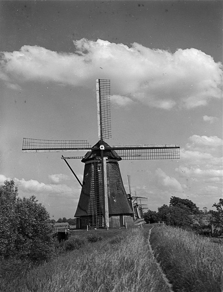 Overwaard Molens in Kinderdijk, 1949