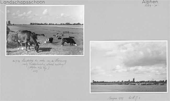 Landschap bij Ridderbuurt in Alphen aan den Rijn, 1949