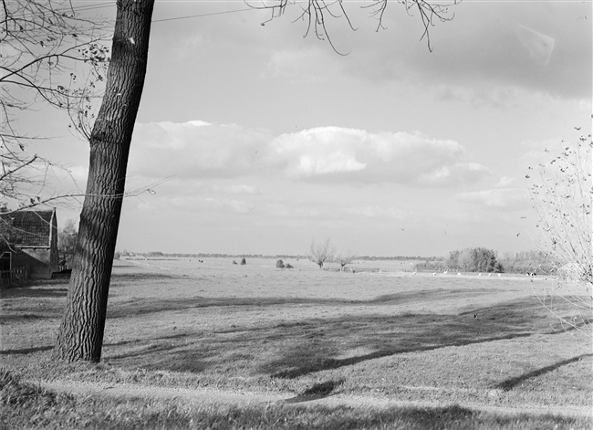 Het landschap bij Haastrecht gezien in noordelijke richting.