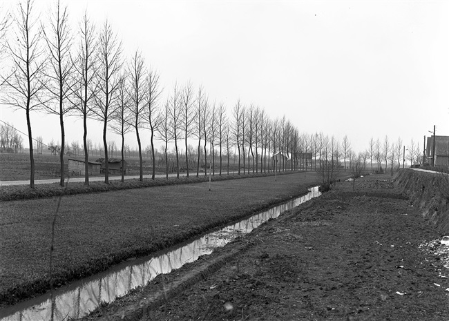 Polders bij Heukelum