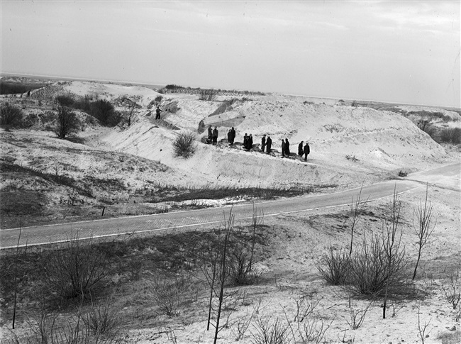 Natuurmonument De Beer en bunker bij Rozenburg, 1950