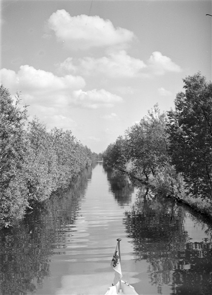 Rondvaart over de Nieuwkoopse Plassen, 1956
