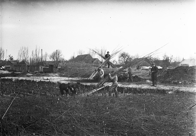 Aanleg van de (drijvende) weg nr. 29 tussen Stolwijk en Bergambacht. Mannen maken een rijzenbed van rijshout, wat als versteviging dient voor de natte ondergrond.