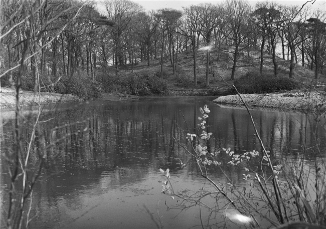 De Paulinaberg op landgoed Nieuw Leeuwenhorst, 1956