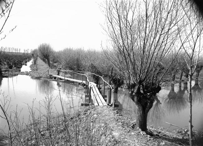 Wandelpad door de Rhoonse Grienden aan de Oude Maas