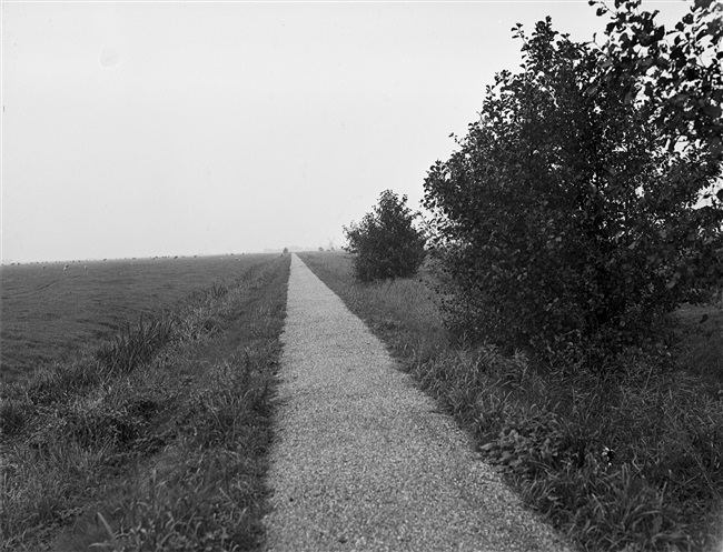 Het fietspad Ruigekade langs de Does. Door het aanleggen van fietspaden ontsluit de provincie Zuid-Holland poldergebieden voor recreatie.