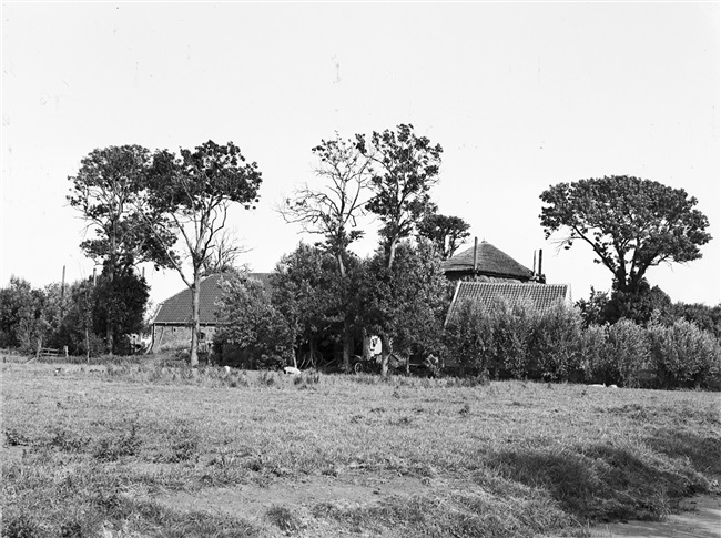 Een boerderij aan de Holyweg