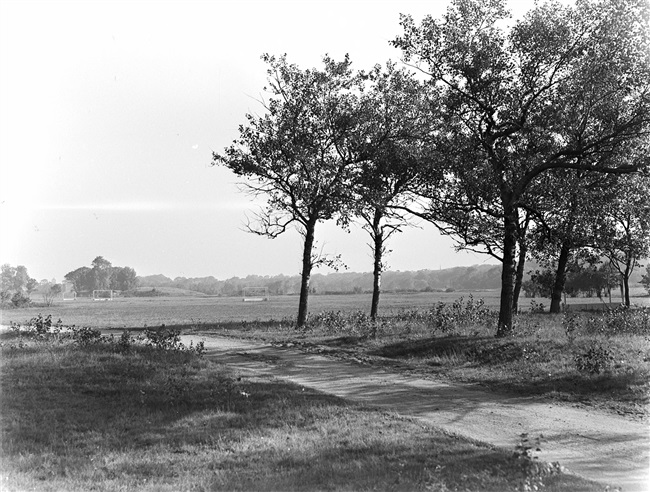 Sportvelden in de omgeving van Clingendael