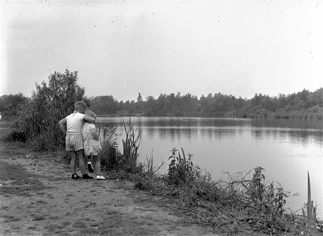 Tenellaplas in het duingebied van Voorne