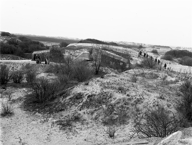 Natuurmonument De Beer en bunker bij Rozenburg, 1950