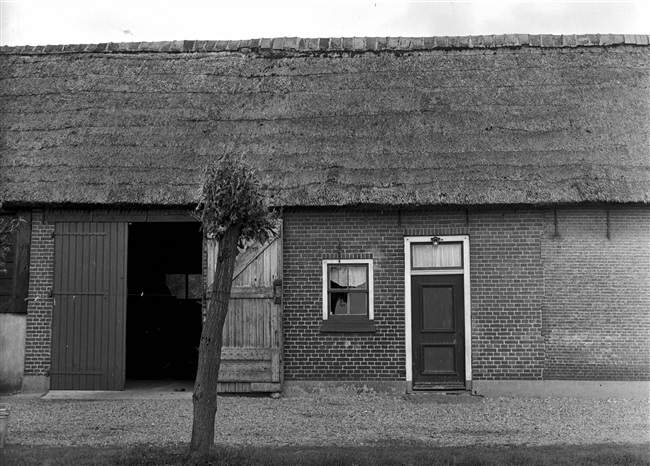 Boerderij met een woon- en een stalgedeelte. De boerderij heeft een rietgedekt dak en muurankers in de gevel.