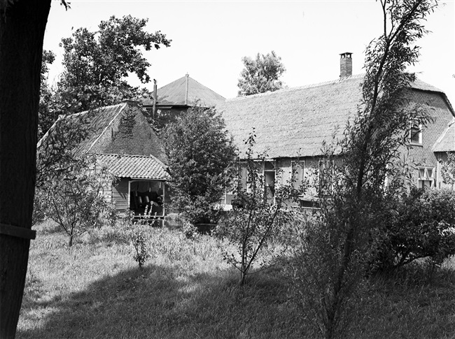 Een boerderij