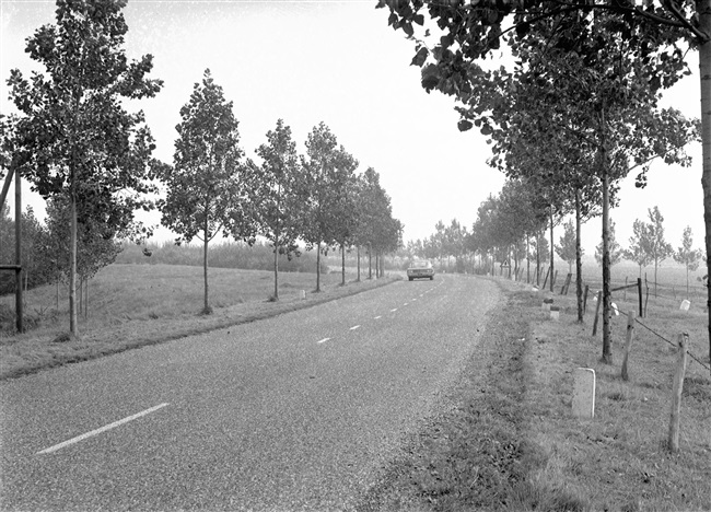 De provinciale weg nr. 47