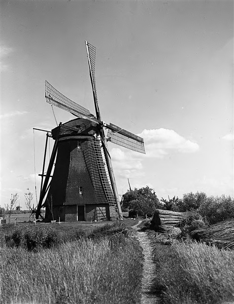 Overwaard Molen in Kinderdijk, 1949