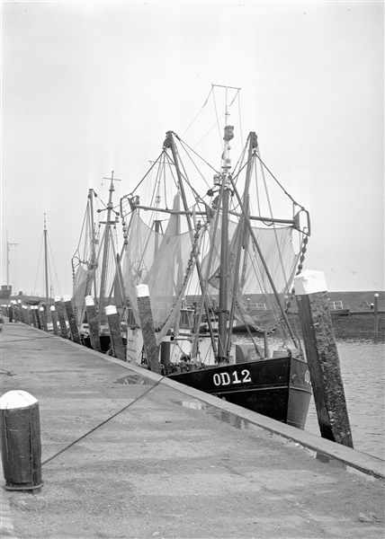 Vissersboten in de haven van Ouddorp, 1964