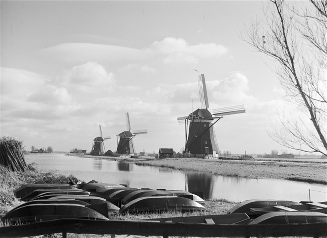 Poldermolens bij de Stompwijkseweg. De molens maken deel uit van de molendriegang van de Driemanspolder.