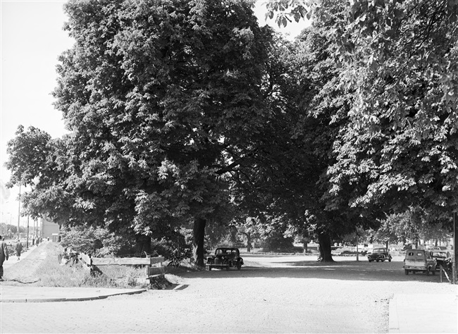 Het terrein van de voormalige Haagsche Dierentuin aan de Koningskade. Hier startte op 1 september 1958 de bouw van het nieuwe provinciehuis.