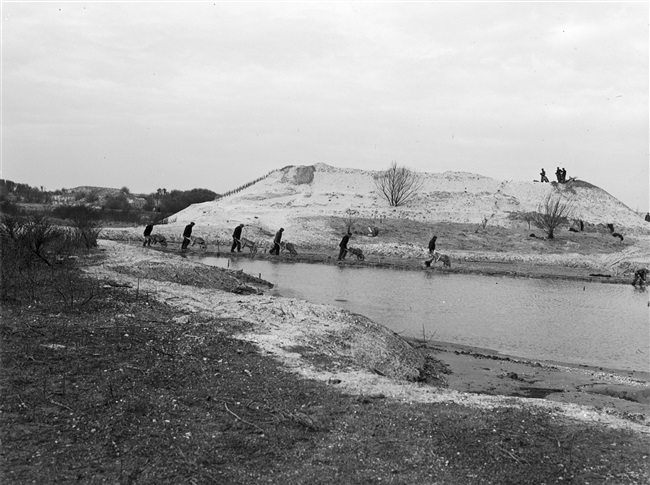 Natuurgebied De Beer en Duitse bunker bij Rozenburg, 1950