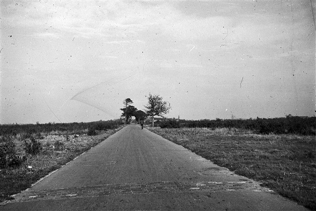 De Schuineweg bij Noordwijkerhout na de Duitse bezetting