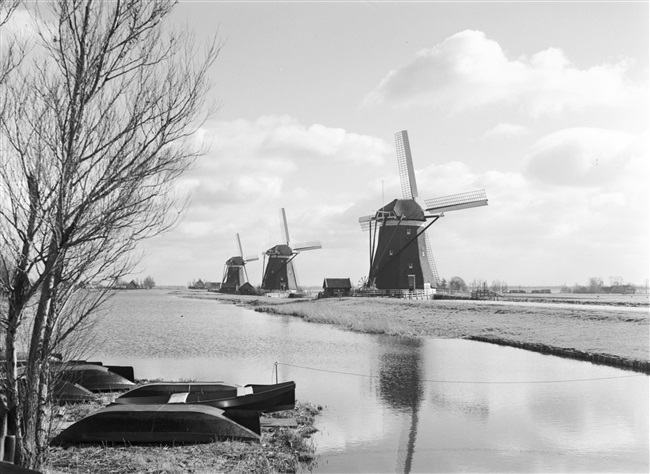 Poldermolens bij de Stompwijkseweg. De molens maken deel uit van de molendriegang van de Driemanspolder.