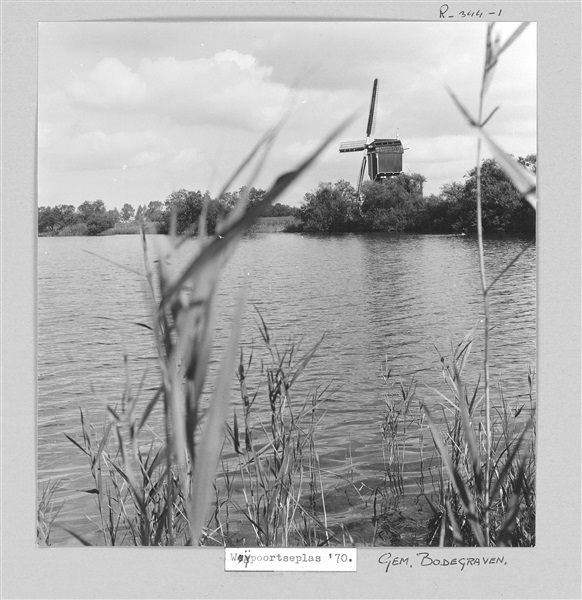 De Weijpoortse molen in Weijpoort, 1970