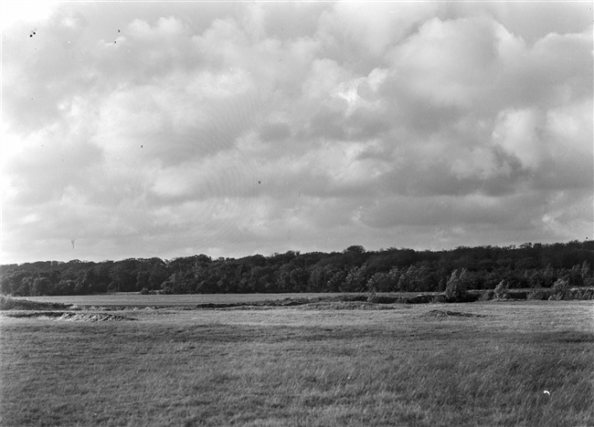 In de omgeving van Clingendael