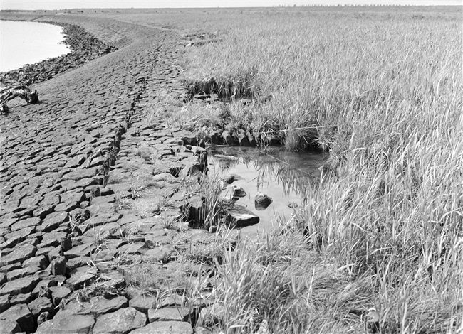 Kade langs het Haringvliet in de Westersepolder