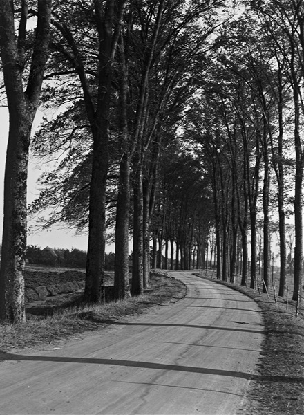 De Essendijk in IJsselmonde, 1948