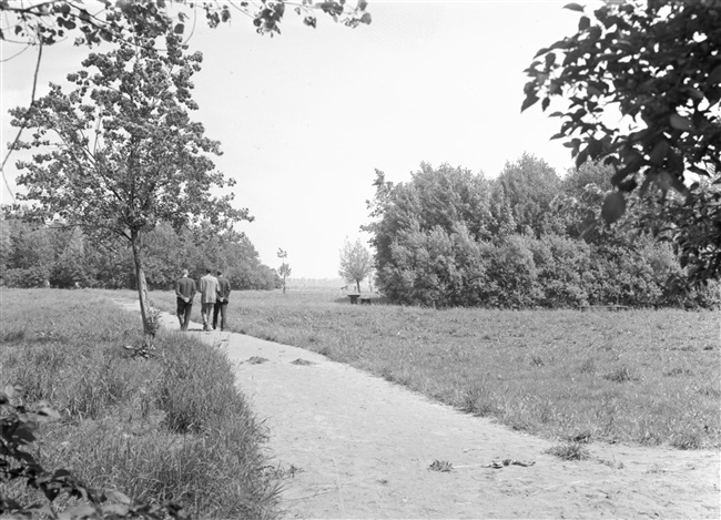 Recreatieterrein Valkenburg